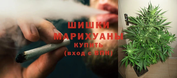 ECSTASY Богородицк