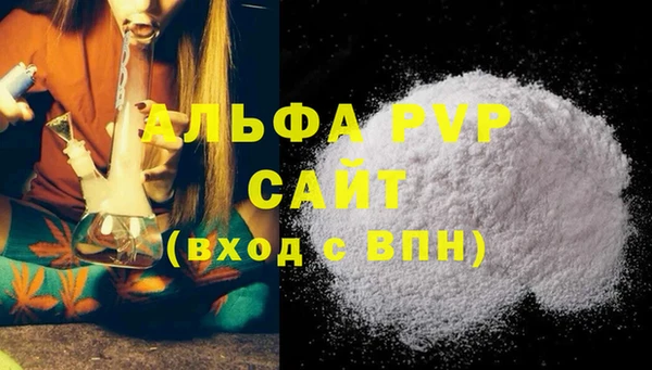 ECSTASY Богородицк